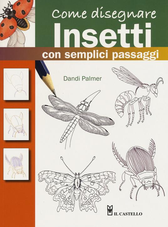 Come disegnare insetti con semplici passaggi. Ediz. a colori - Dandi Palmer - copertina