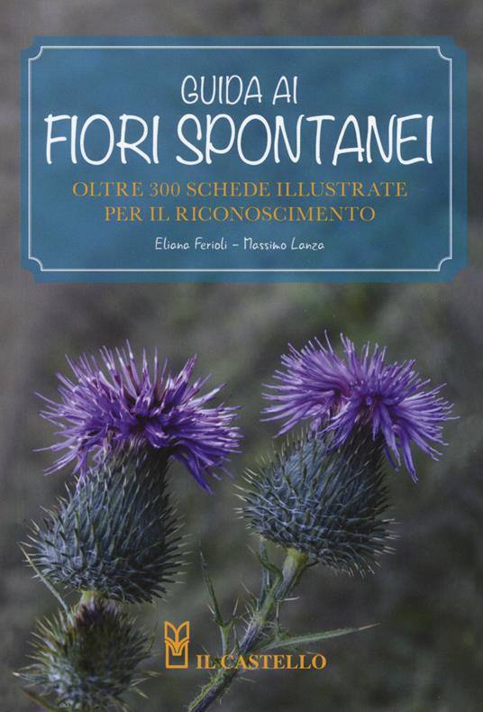 Guida ai fiori spontanei. Ediz. a colori - Eliana Ferioli - copertina