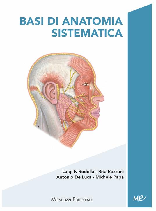 Basi di anatomia sistematica - Luigi Fabrizio Rodella,Rita Rezzani,Antonio De Luca - copertina
