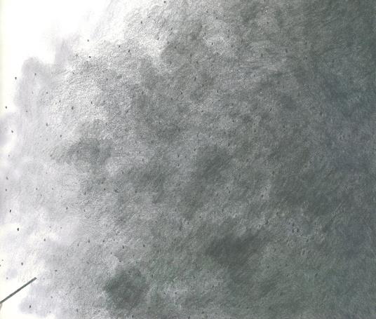 Il giorno che venne la guerra. Ediz. a colori - Nicola Davies - 7
