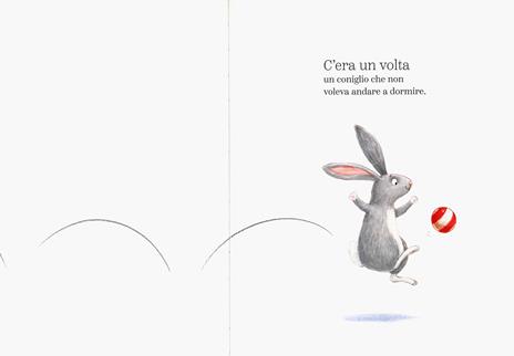 Il coniglio, il buio e la scatola di biscotti. Ediz. a colori - Nicola O'Byrne - 2