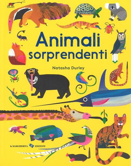 Animali sorprendenti. Ediz. a colori - Natasha Durley - copertina