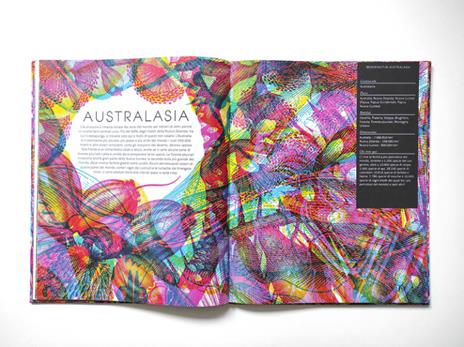 Insetti & co. Esplora il mondo degli invertebrati con la tua magica lente a 3 colori. Ediz. a colori. Con lenti colorate - 5