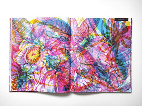 Insetti & co. Esplora il mondo degli invertebrati con la tua magica lente a 3 colori. Ediz. a colori. Con lenti colorate - 6