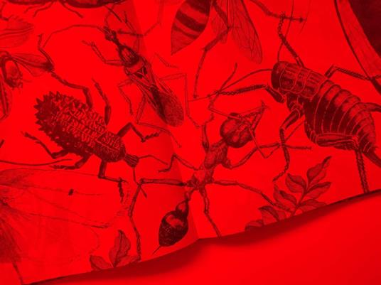 Insetti & co. Esplora il mondo degli invertebrati con la tua magica lente a 3 colori. Ediz. a colori. Con lenti colorate - 8