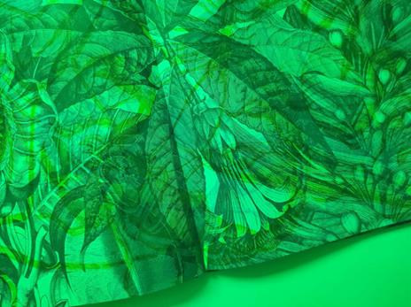 Insetti & co. Esplora il mondo degli invertebrati con la tua magica lente a 3 colori. Ediz. a colori. Con lenti colorate - 9