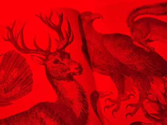 Naturalia. Scopri 180 animali con la tua magica lente a 3 colori. Ediz. a colori. Con lenti colorate - 8