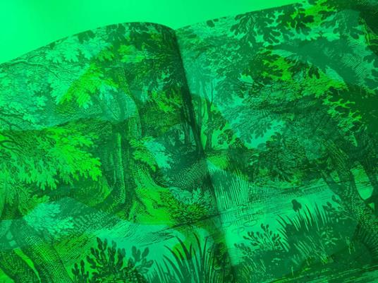 Naturalia. Scopri 180 animali con la tua magica lente a 3 colori. Ediz. a colori. Con lenti colorate - 9