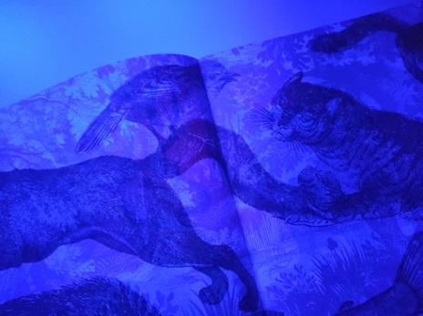 Naturalia. Scopri 180 animali con la tua magica lente a 3 colori. Ediz. a colori. Con lenti colorate - 10