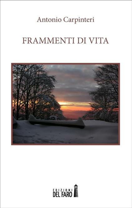 Frammenti di vita - Antonio Carpinteri - ebook