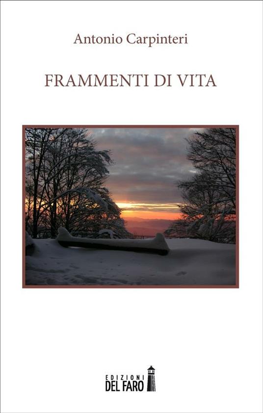 Frammenti di vita - Antonio Carpinteri - ebook