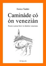 Caminàde có ón veneziàn. Poesie e prose brevi in dialetto veneziano