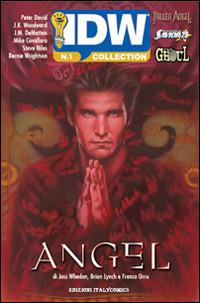 Angel. IDW collection. Vol. 1 - copertina