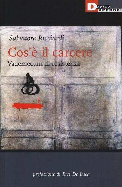 Cos'è il carcere. Vademecum di resistenza - Salvatore Ricciardi - copertina