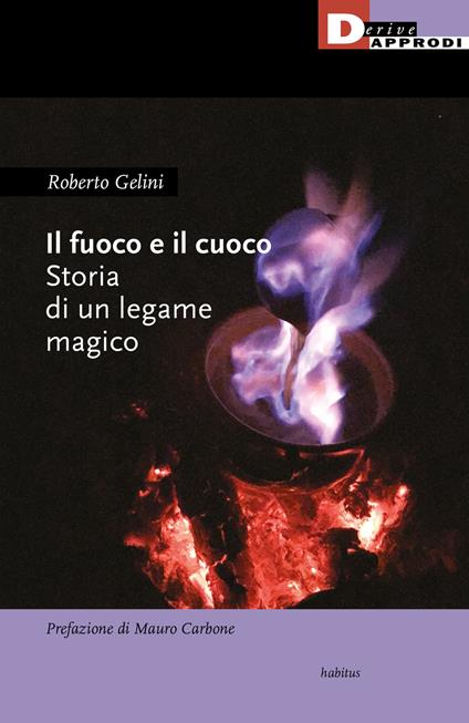 Il fuoco e il cuoco. Storia di un legame magico - Roberto Gelini - copertina