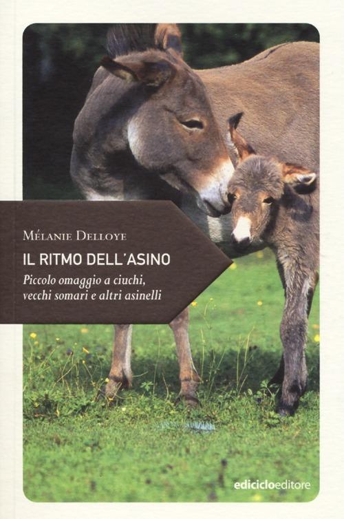 Il ritmo dell'asino. Piccolo omaggio a ciuchi, vecchi somari e altri asinelli - Mélanie Delloye - copertina