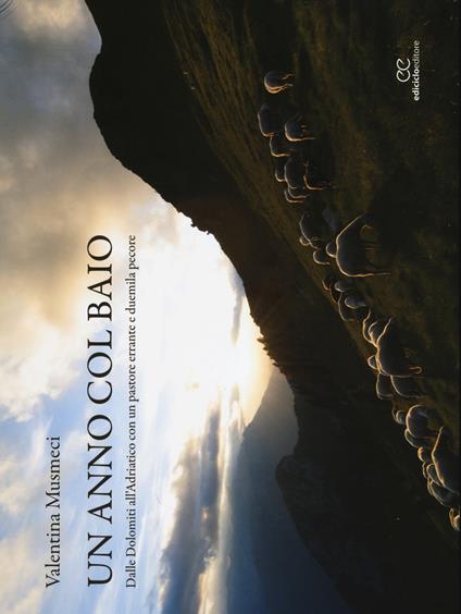 Un anno col baio. Dalle Dolomiti all'Adriatico con un pastore errante e duemila pecore - Valentina Musmeci - copertina