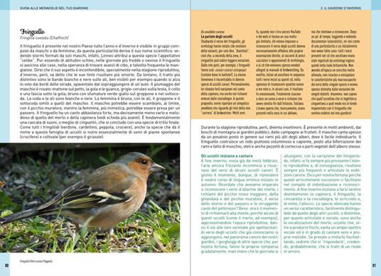 Guida alle meraviglie nel tuo giardino. Un microcosmo da scoprire e curare stagione per stagione - Giovanna Olivieri - 4