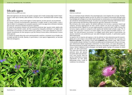 Guida alle meraviglie nel tuo giardino. Un microcosmo da scoprire e curare stagione per stagione - Giovanna Olivieri - 5