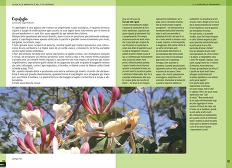 Guida alle meraviglie nel tuo giardino. Un microcosmo da scoprire e curare stagione per stagione - Giovanna Olivieri - 6