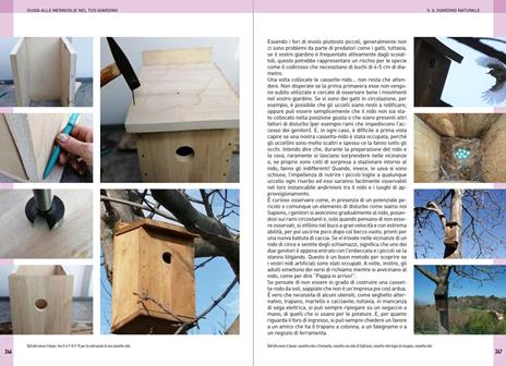 Guida alle meraviglie nel tuo giardino. Un microcosmo da scoprire e curare stagione per stagione - Giovanna Olivieri - 7