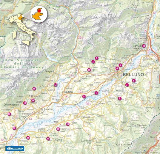 Passeggiate in Val Belluna. Alla scoperta di cento antiche chiesette - Flavio Faoro - 2