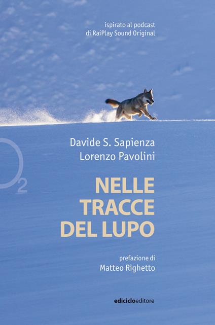 Nelle tracce del lupo - Davide Sapienza,Lorenzo Pavolini - copertina