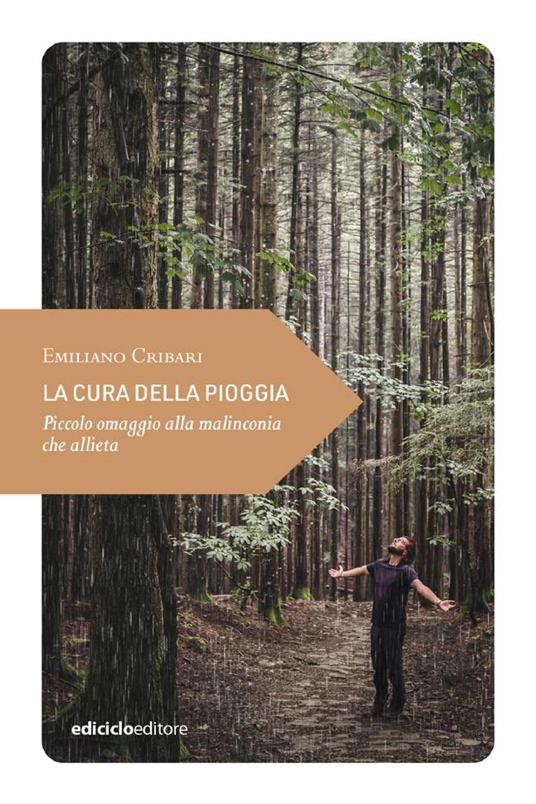 La cura della pioggia. Piccolo omaggio alla malinconia che allieta - Emiliano Cribari - ebook