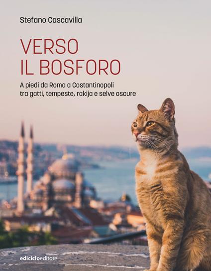 Verso il Bosforo. A piedi da Roma a Costantinopoli tra gatti, tempeste, rakija e selve oscure - Stefano Cascavilla - ebook