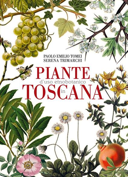 Piante d'uso etnobotanico in Toscana - Paolo Emilio Tomei,Serena Trimarchi - copertina