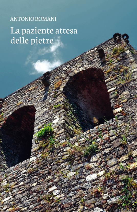 La paziente attesa delle pietre - Antonio Romani - copertina