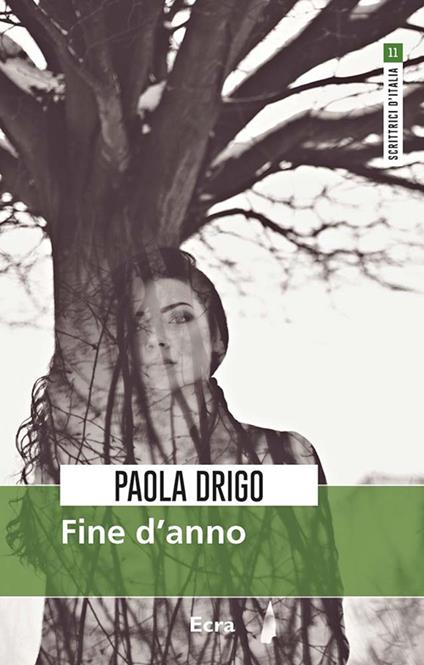 Fine d'anno - Paola Drigo - copertina