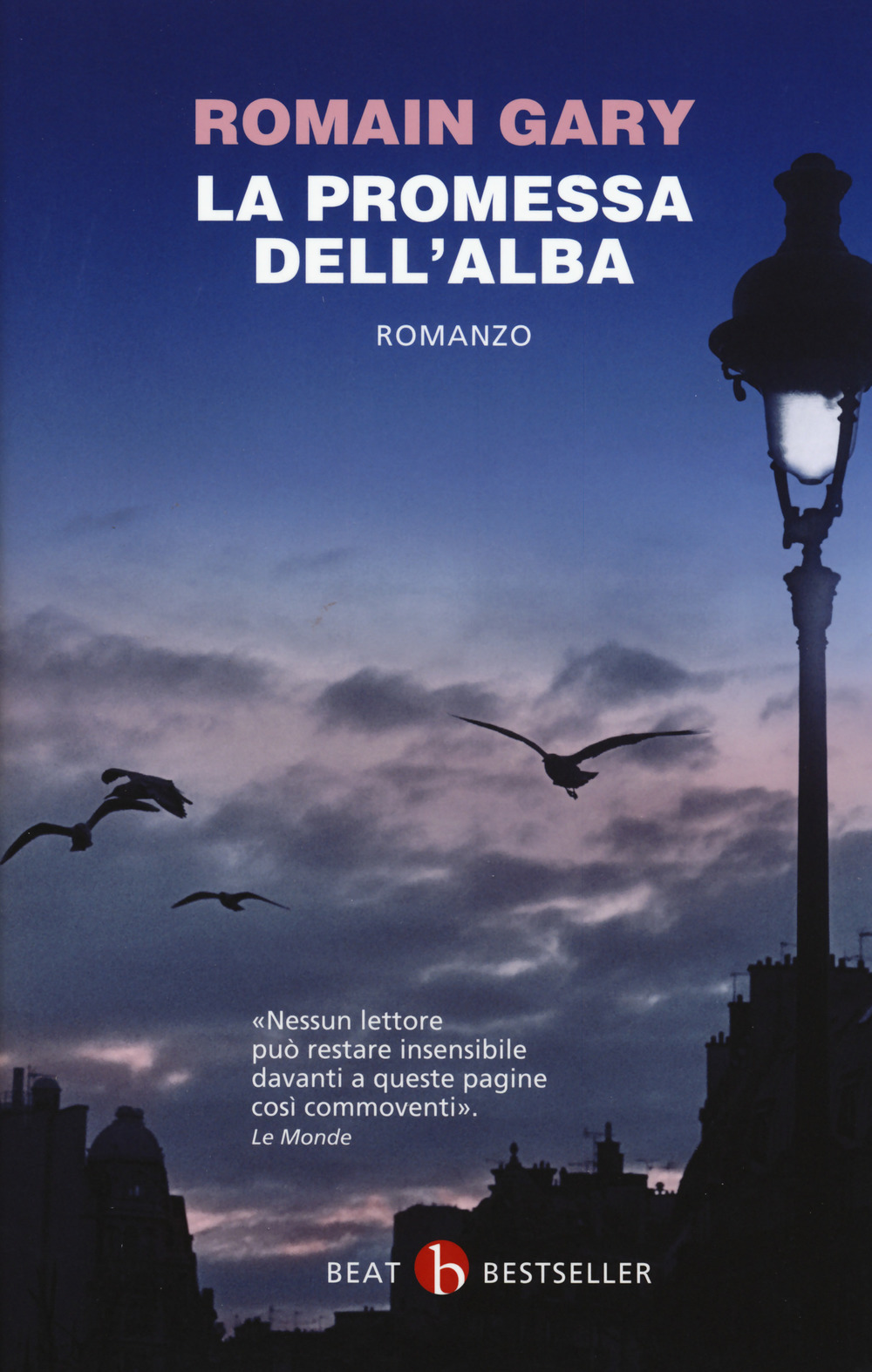 Libraccio