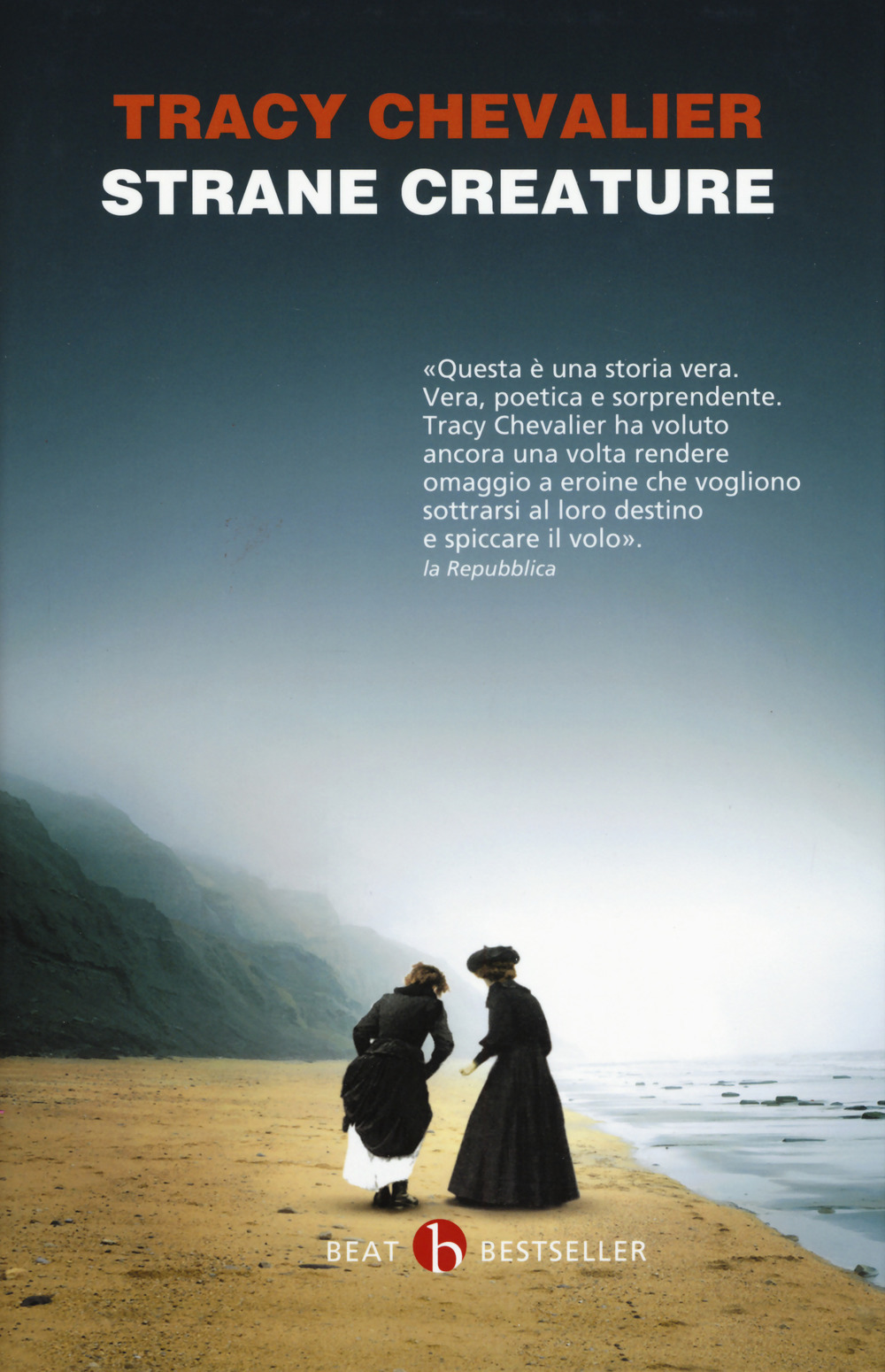 Libraccio