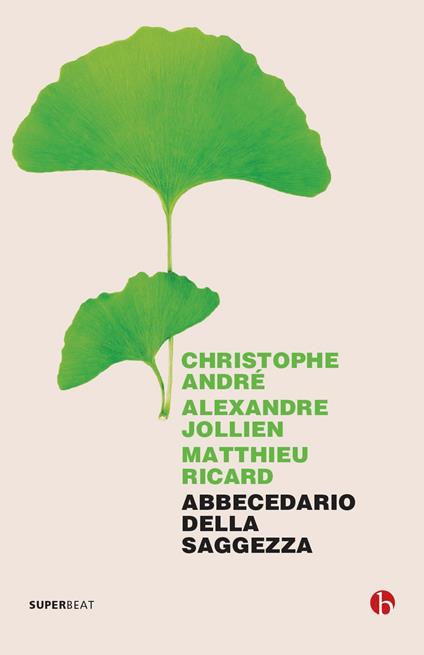 Abbecedario della saggezza - Christophe André,Alexandre Jollien,Matthieu Ricard - copertina