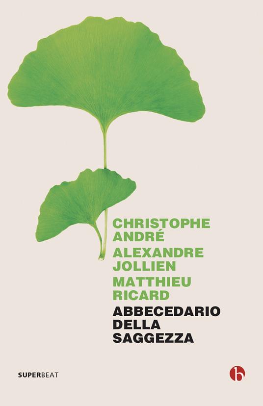 Abbecedario della saggezza - Christophe André,Alexandre Jollien,Matthieu Ricard,Roberto Boi - ebook