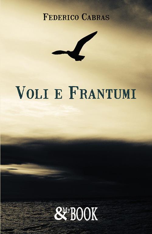Voli e frantumi - Federico Cabras - copertina