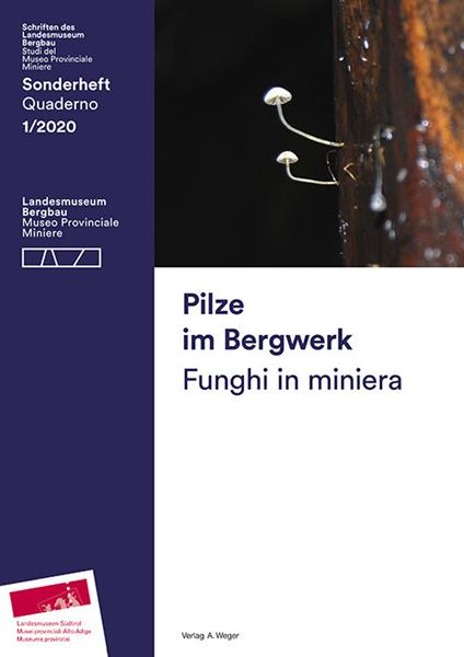Pilze im Bergwerk-Funghi in miniera. Ediz. bilingue - Christian Terzer,Armin Torggler,Werner Amrain - copertina