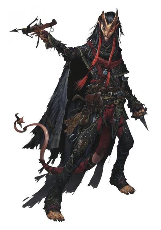 Pathfinder Gdr. Il Portale Inferno. Gioco da tavolo - 2