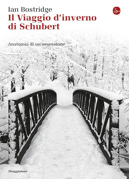 Il viaggio d'inverno di Schubert - Ian Bostridge - ebook