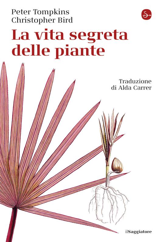 La vita segreta delle piante - Christopher Bird,Peter Tompkins,Alda Carrer - ebook