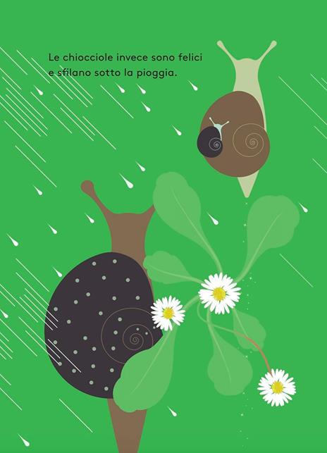 Quando piove. Ediz. a colori - Anne Crausaz - 4