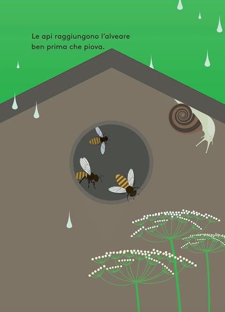 Quando piove. Ediz. a colori - Anne Crausaz - 5