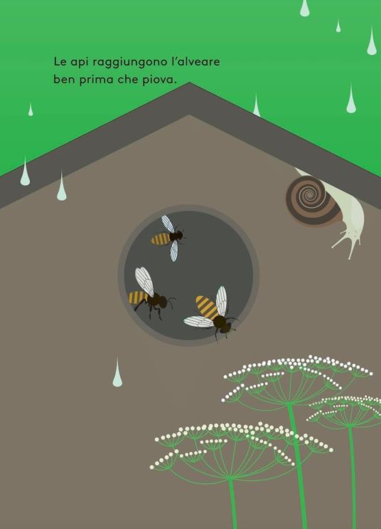 Quando piove. Ediz. a colori - Anne Crausaz - 5