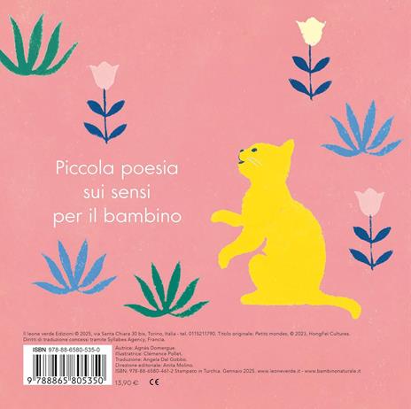 Piccoli mondi. Ediz. a colori - Agnès Domergue - 7