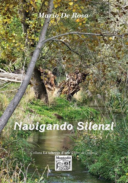 Navigando silenzi - Mario De Rosa - ebook