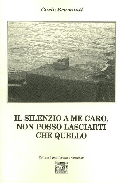 Il silenzio a me caro, non posso lasciarti che quello - Carlo Bramanti - copertina