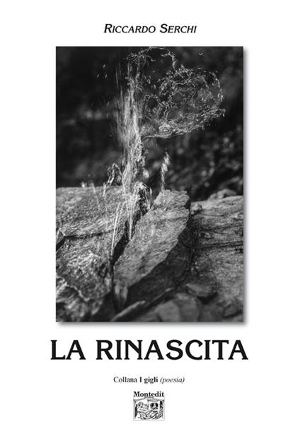 La rinascita - Riccardo Serchi - copertina