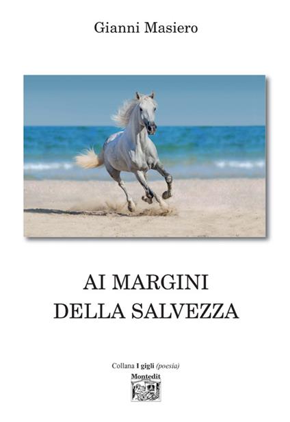 Ai margini della salvezza - Gianni Masiero - copertina