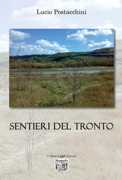 Sentieri del Tronto - Lucio Postacchini - copertina